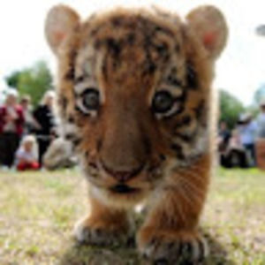 Meet your Posher, Kate